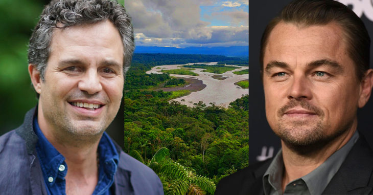 Leo DiCaprio y Mark Ruffalo se unen a la causa de defender la Amazonia