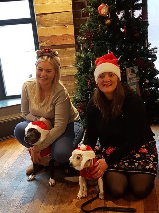 Mujeres abrazando perros bajo un pino navideño