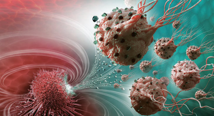 tumores cancerosos con células adheridas