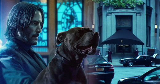 Energia 97 FM - Notícias - Lionsgate confirma que John Wick 5 está em  desenvolvimento