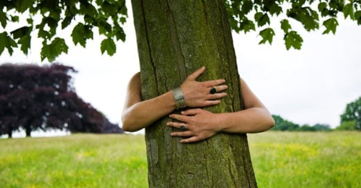 Abrazar árboles tiene impacto positivo sobre la salud, según estudio