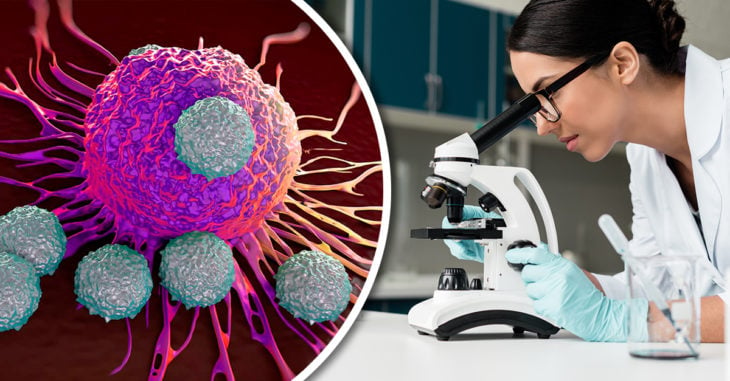 Bacterias programadas para matar al cáncer serían nueva opción de tratamiento de esta enfermedad
