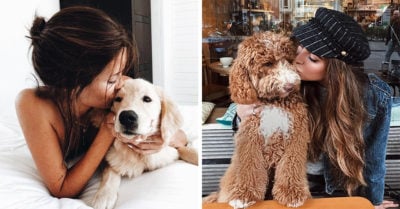 Las personas prefieren besar más a sus perros que a sus parejas: estudio