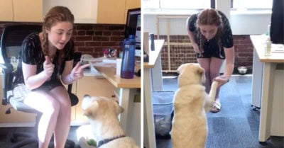 Mujer le enseña lengua de señas a su perro sordo para comunicarse