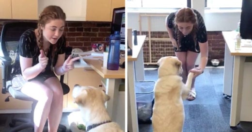 Chica enseña lenguaje de señas a su perro sordo para entenderse