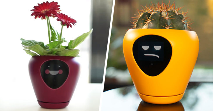 Esta maceta convierte tus plantas en un tamagotchi de la vida real