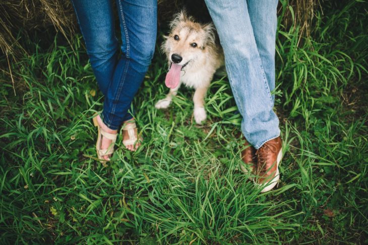 Perro en medio de los pies de mujer y hombre