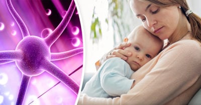 Descubren relación entre la oxitocina e el instinto maternal; ayudaría a tratar depresión posparto