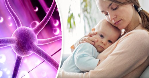 Investigadores de EU hallan pruebas de la relación entre la oxitocina y el "instinto maternal"