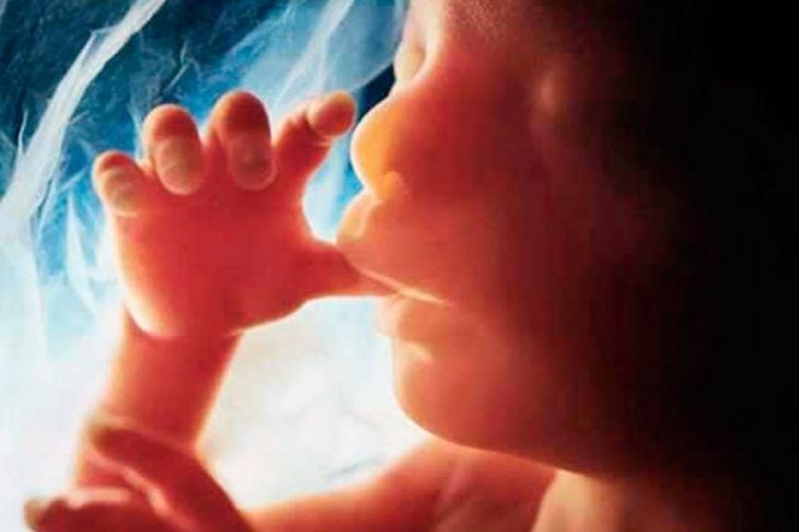 un bambino dentro l'utero si succhia il dito