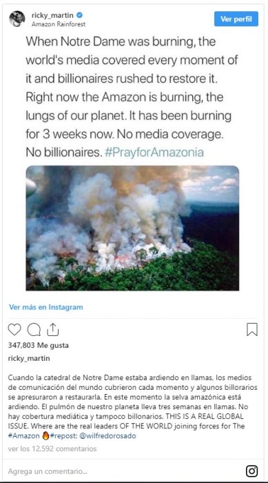 foto del post de Ricky Martin sobre el incendio en el Amazonas