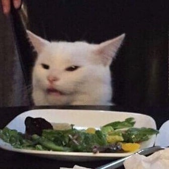 Gato sentado en una silla comiendo vegetales y con expresión de desagrado 