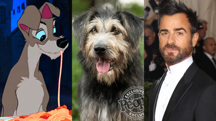 Live action de La Dama y el Vagabundo de Disney; Justin Theroux como Golfo, mestizo