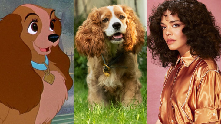 Live action de La Dama y el Vagabundo de Disney; Tessa Thompson como Reina; cocker spaniel