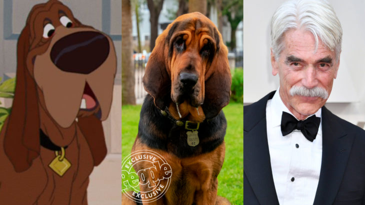 Live action de La Dama y el Vagabundo de Disney; Sam Elliott como Trusty; sabueso café con negro