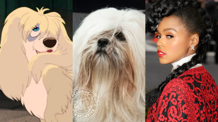 Live action de La Dama y el Vagabundo de Disney; Janelle Monáe como Peg; shitzu blanco de pelo largo