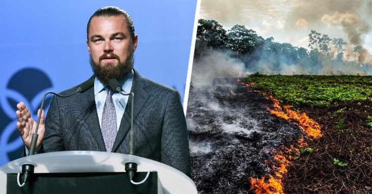 Leonardo DiCaprio dona 5 millones de dólares para apoyar por incendios en la Amazonia