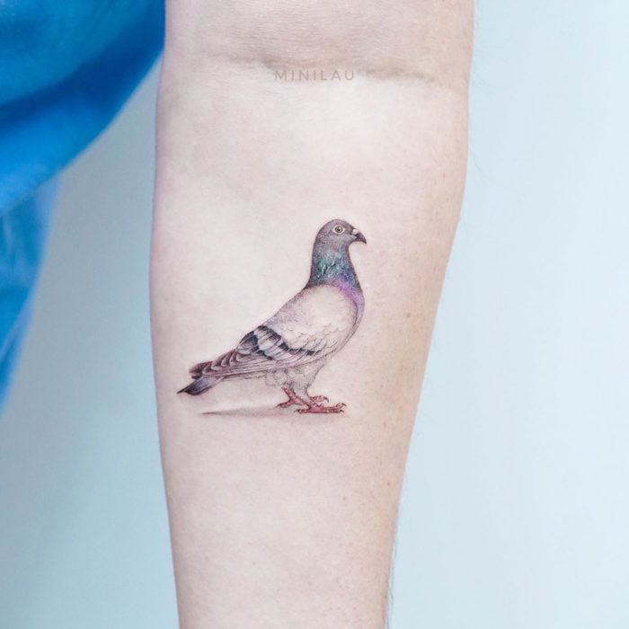 Tatuadora china, Mini Lau; tatuaje pequeño y femenino con colores pastel de paloma realista en el brazo