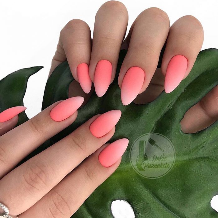 Uñas de color rosa con degradado a blanco 