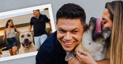 Pareja lleva a su perro a la sesión de ‘save the date’ y se roba la atención de todos