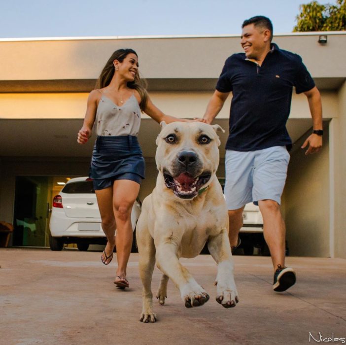 Pareja de novios tomados de las manos mientras caminan y corren atrás de su perro