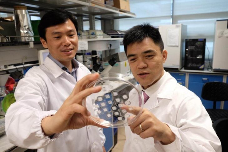 dos hombres con bata en un laboratorio muestran un círculo de vidrio con unos adhesivos pegados sobre él