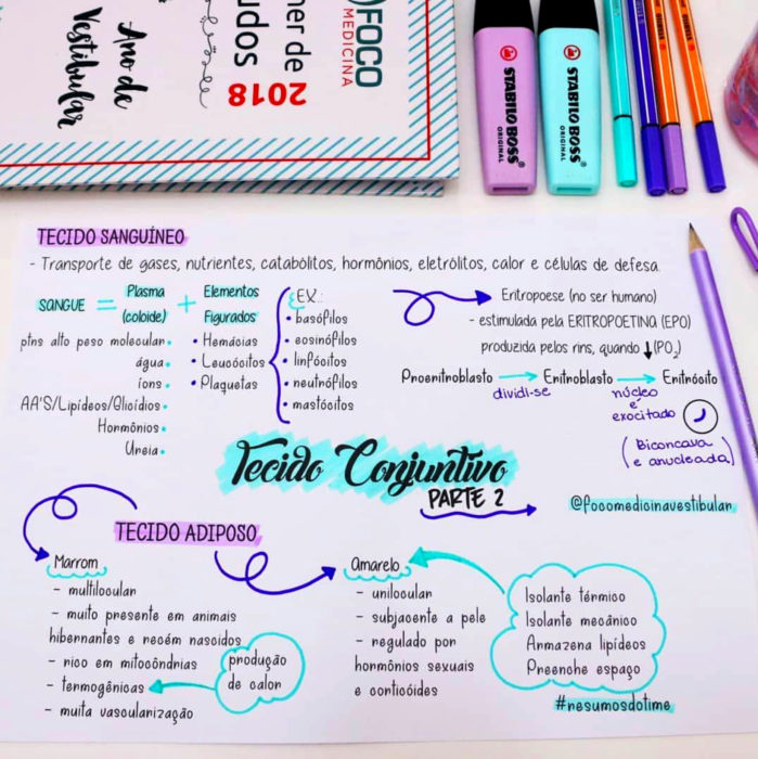 Apuntes bonitos en libretas para estudiar en la escuela; mapa mental creativo