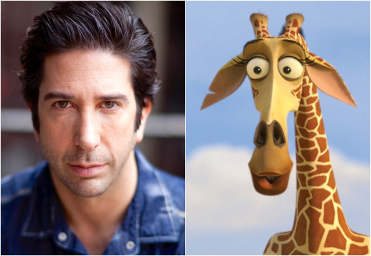 David Schwimmer, Melman, Madagascar, película, Disney