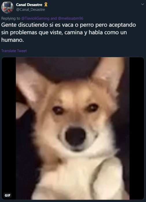 Twitter abre debate sobre si Goofy, personaje de Disney, es un perro o una vaca