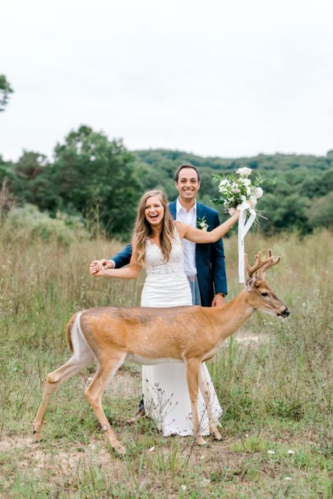 el ciervo se mantiene frente a los novios como posando para la foto