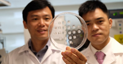 Crean parche con microagujas para quemar grasa sin hacer ejercicio