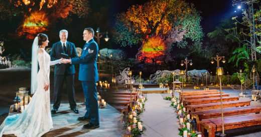 He aquí la boda perfecta: en Disney's Animal Kingdom, bajo el Árbol de la Vida y rodeada de vida silvestre