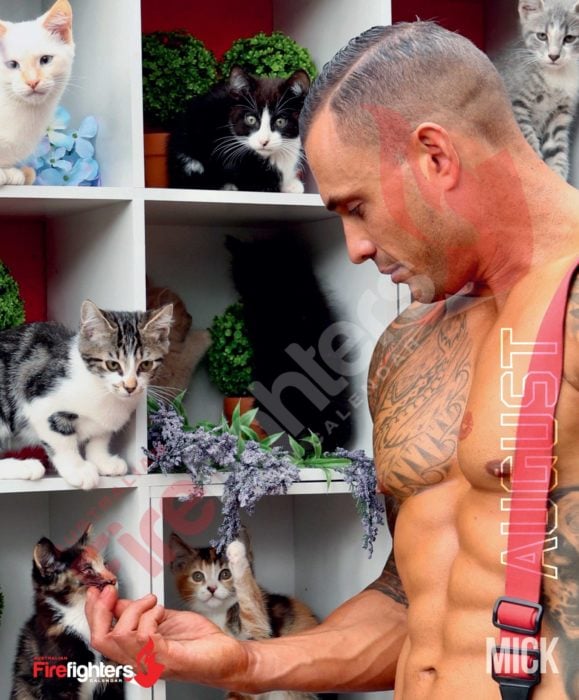 Calendario de bomberos australianos con animales; hombre con tatuajes en un estante con gatos