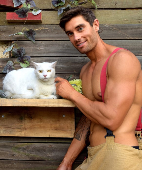 Calendario de bomberos australianos con animales; hombre con tatuajes en los brazos acariciando a un gato blanco de ojos amarillos