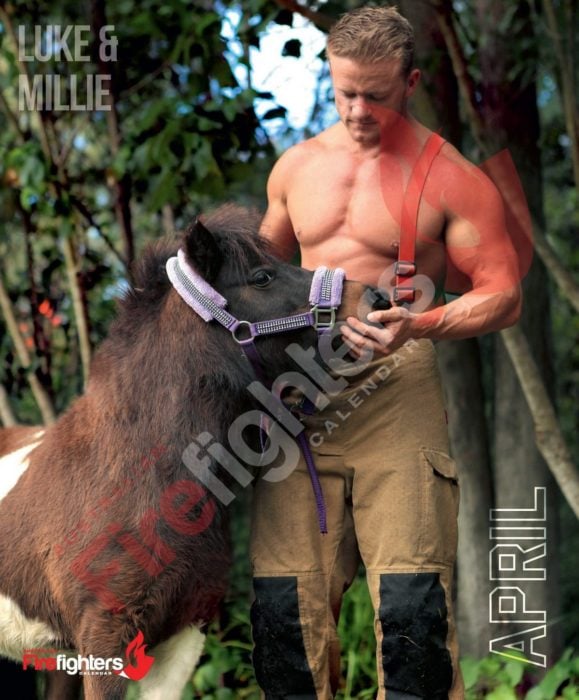 Calendario de bomberos australianos con animales; hombre con un pony café
