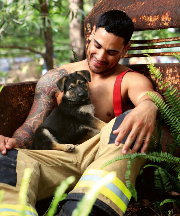 Calendario de bomberos australianos con animales; hombre con tatuaje de dragón japonés en el brazo con perro cachorro cruza de pastor alemán