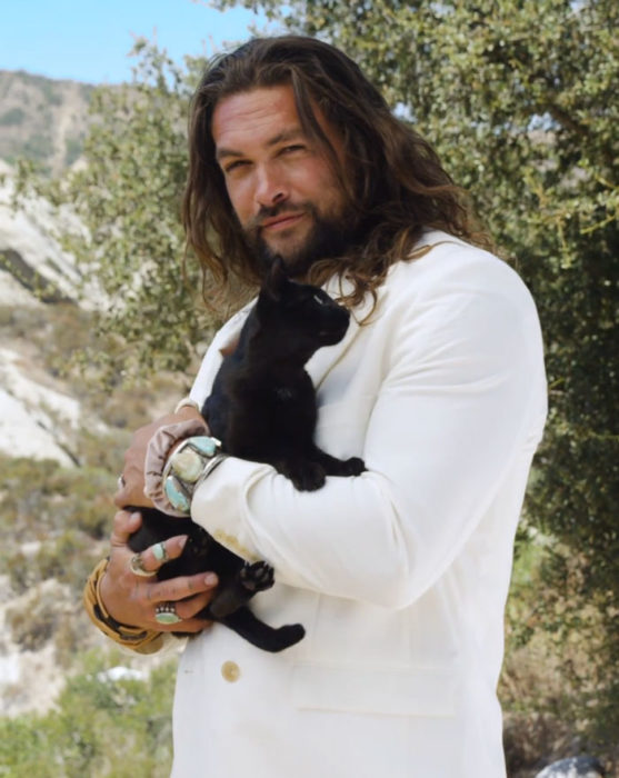 Jason Momoa con traje blanco sosteniendo un gato negro