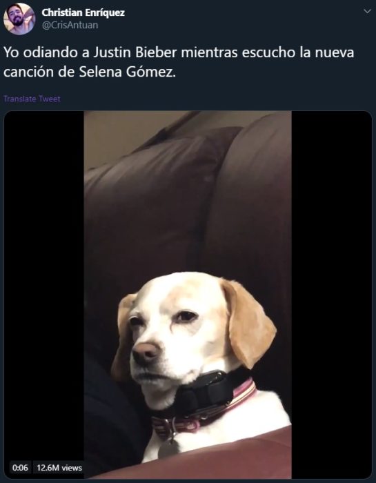 Lose you to love me de Selena Gomez para Justin Bieber se vuelve viral; meme de perro