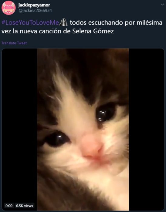 Lose you to love me de Selena Gomez para Justin Bieber se vuelve viral; meme de gato llorando