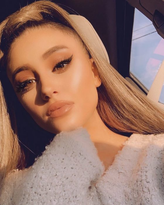 Paige Niemann, la doble de Ariana Grande; doppelgänger