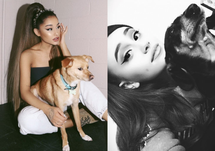 Paige Niemann, la doble de Ariana Grande; doppelgänger, chicas con perros, mascota