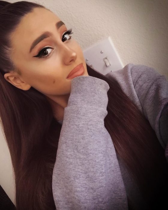 Paige Niemann, la doble de Ariana Grande; doppelgänger