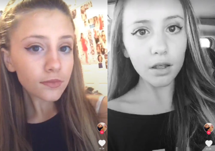 Paige Niemann, la doble de Ariana Grande; doppelgänger