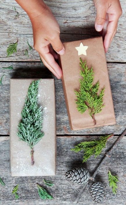 Caja envuelta con papel revolución y un pequeño pino de decoración