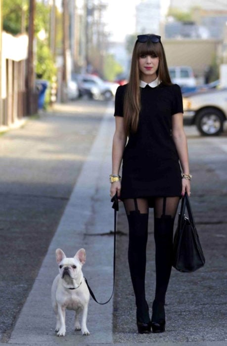Perro bulldog francés y chica vestida de Merlina Adams; vestido negro con cuello blanco, medias y bolsa de mano