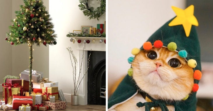 ¡Problema resuelto! Lanzan pino navideño a la mitad para que tus gatos no lo destruyan