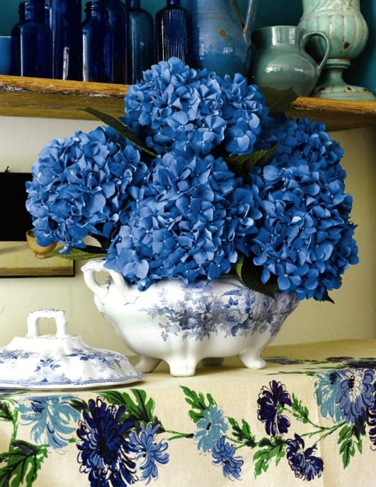 Pantone elije el classic blue como el color del 2020; flores azul clásico, hortensias en florero, azucarero