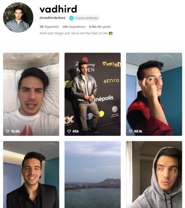 Pagina de tik tok de Vadir Derbez