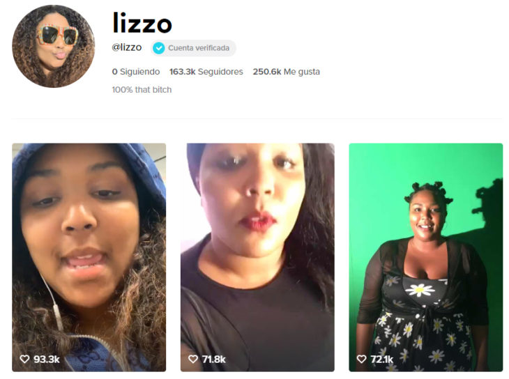 Pagina de tik tok de lizzo