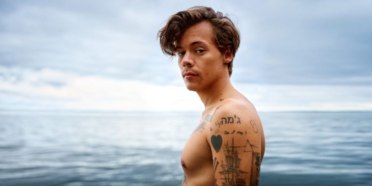 Harry Styles posando para una foto para su álbum musical